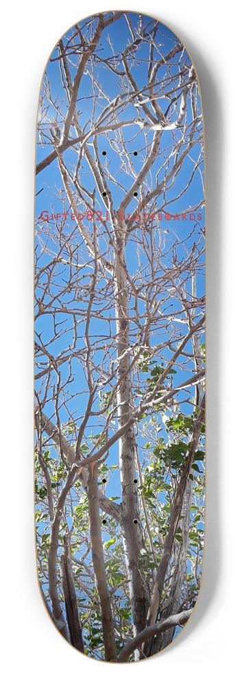 Spring Trees?