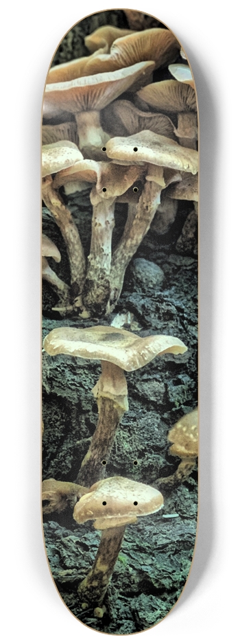 Mushroom GLOW 8-1/4 Skateboard Deck