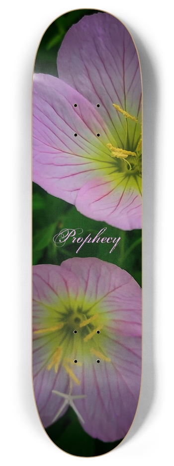 Pink Primrose 8 Inch Skateboard Deck