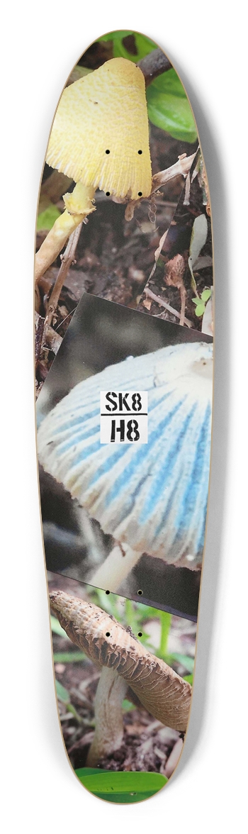 Daniel Jardine/Fungi Longboard Shape