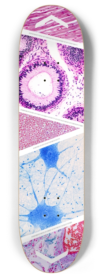 NIH Popsicle 8 Inch Skateboard Deck