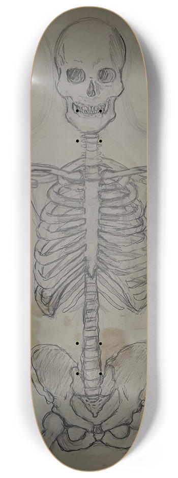 Skeletal Sketch? 