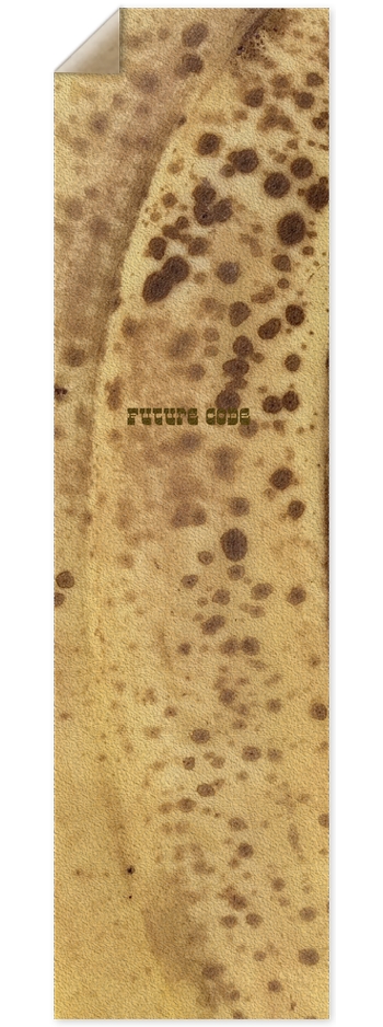 9” x 33” Griptape - Split 9 x 33 Inch Griptape