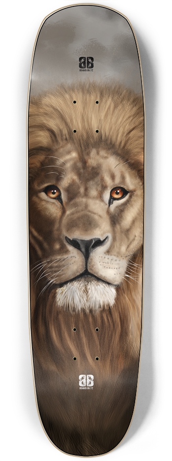 LION STARE Square Nose