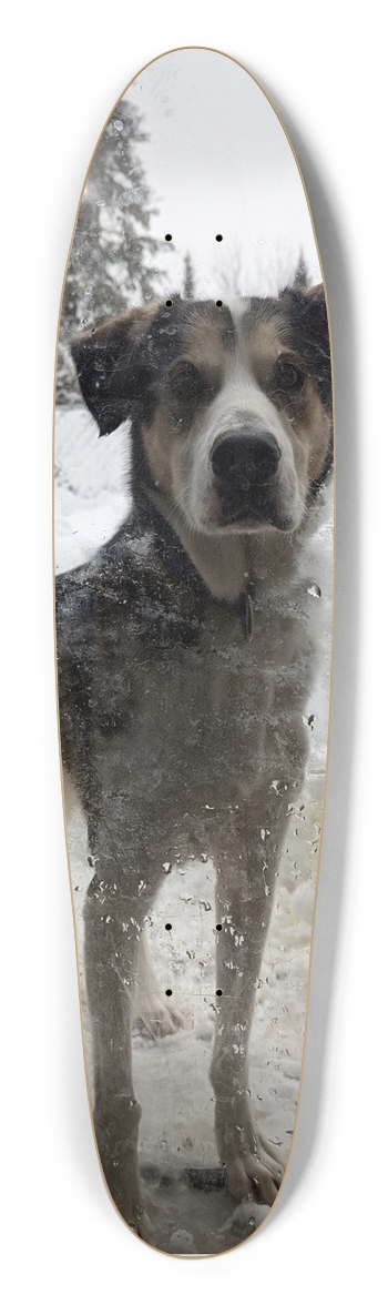 The Finnster Longboard Shape