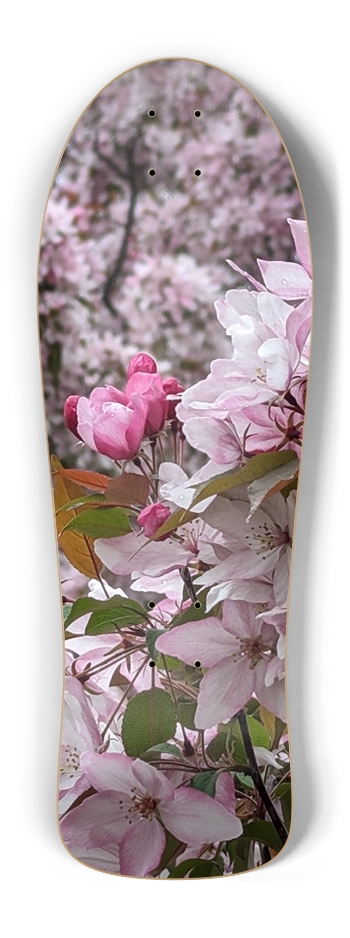 Old School Blossom Old School Shape