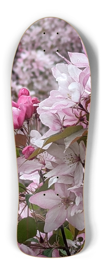 Old School Blossom  Old School Shape