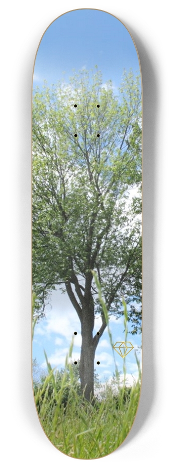 Tree / 8'' 8 Inch Skateboard Deck