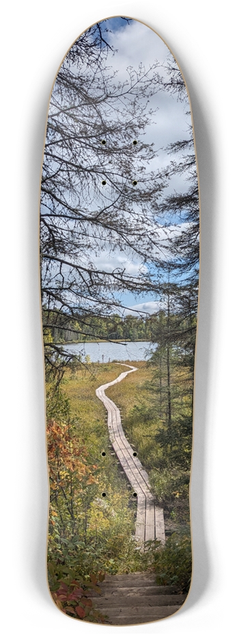 Custom Skateboard Retro Rocket