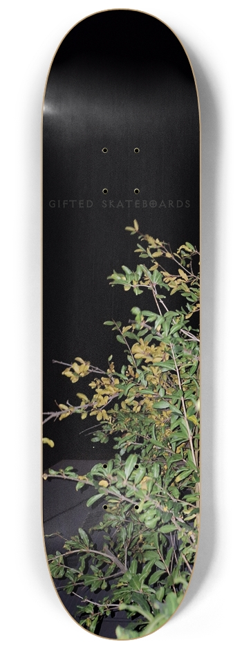 Plant Lifeness?