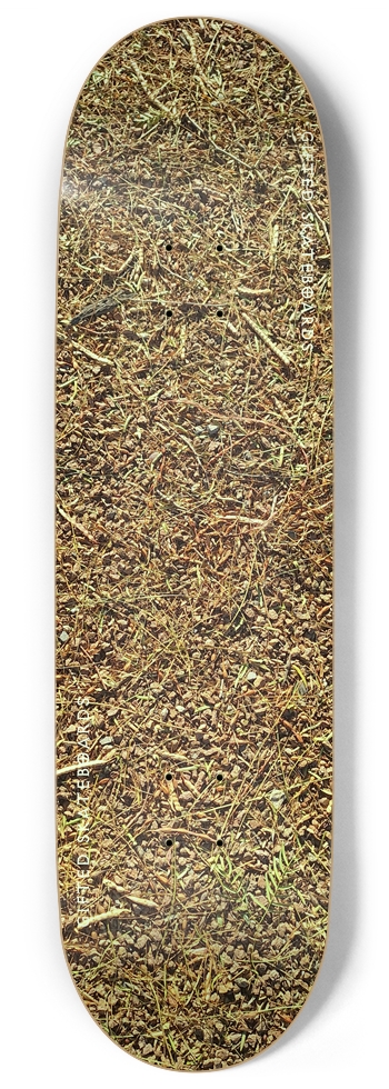 Carolina Gravel?