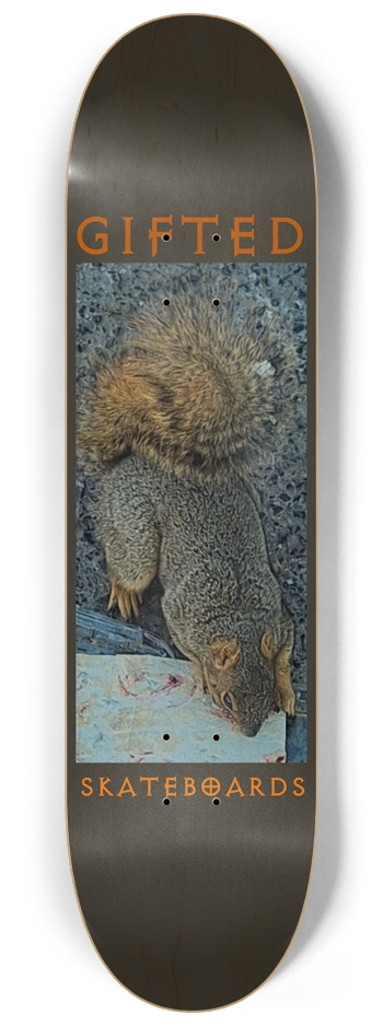 Carolina's Squirrel? 