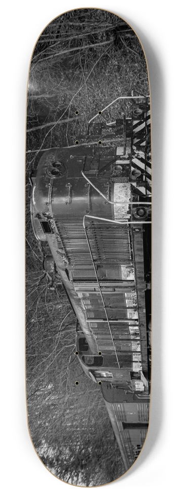 Abandoned Train 9 Inch Skateboard
