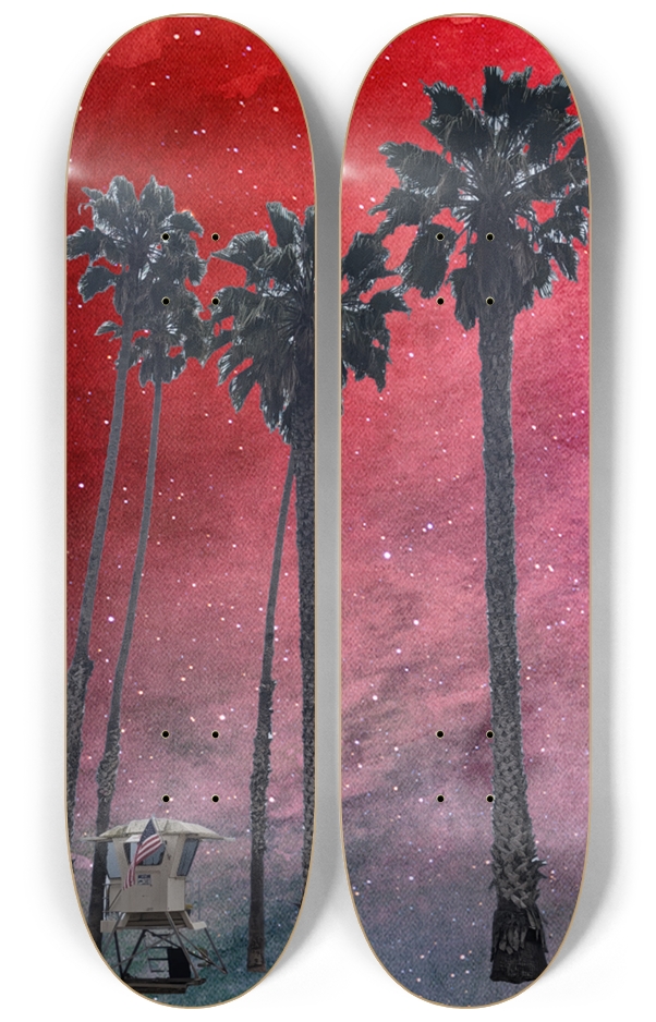 Skateboard Series 2 Deck Wall Series