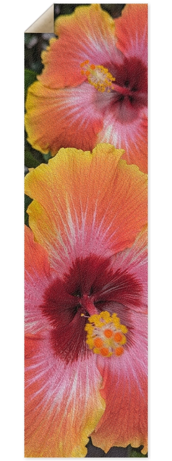 Custom Griptape 9 x 33 Inch Griptape