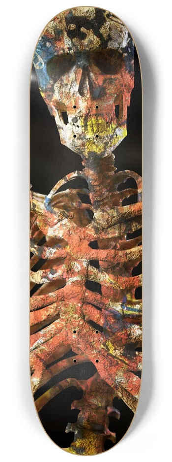 Painted Bone 8-1/4 Skateboard Deck