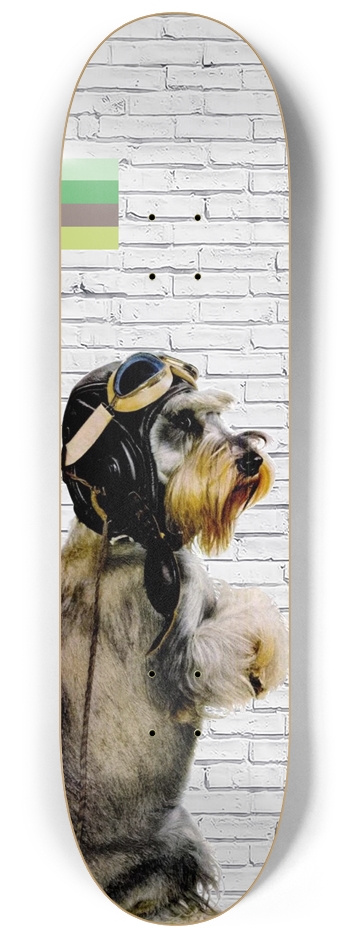 The Aviator 8-1/4 Skateboard Deck