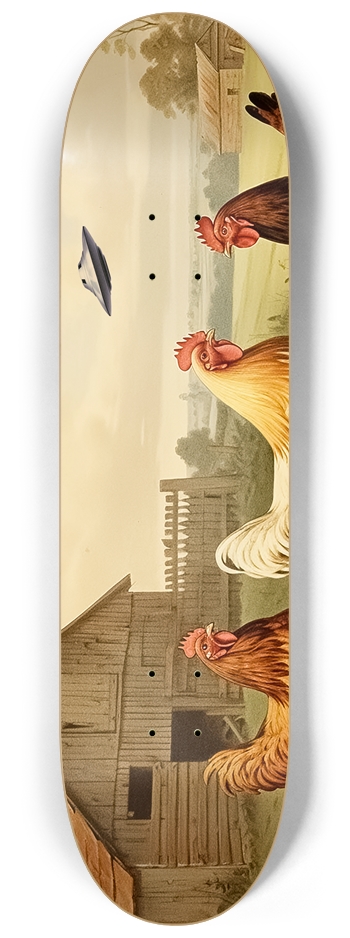 Chicken Thief 8-1/4 Skateboard Deck