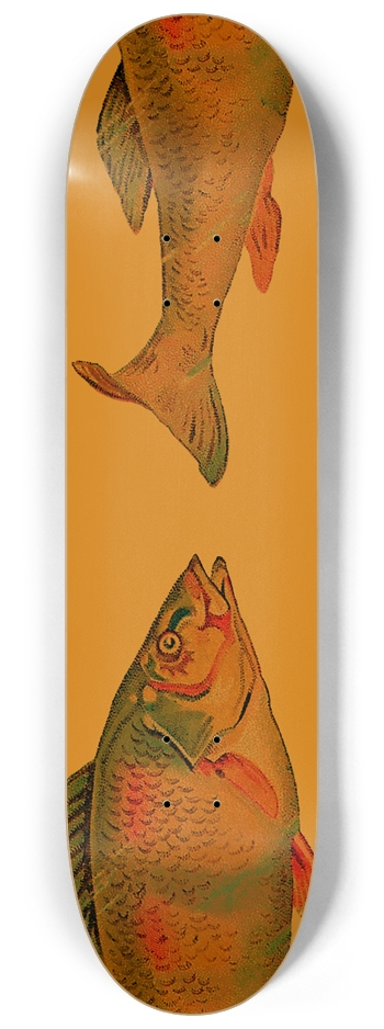 Fish 8-1/4 Skateboard Deck