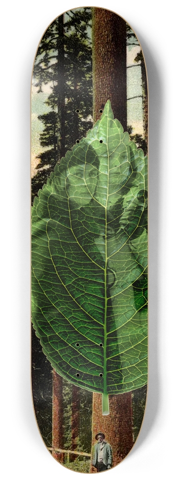 Courage My Love 8-1/4 Skateboard Deck