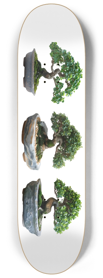 Bonsai Tree Custom Skateboard 232 Skateboards 8-1/4 Skateboard Deck