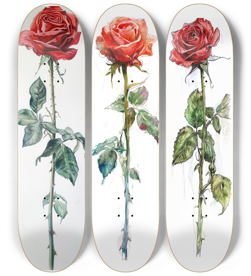 3 Roses Skateboard Series 3 Deck Wall Series