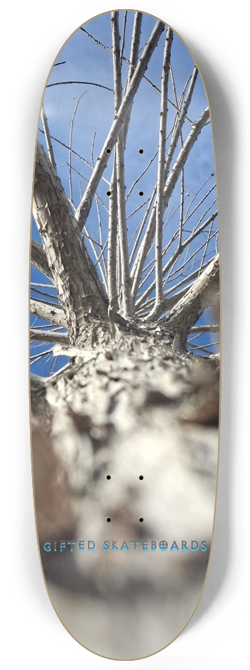 Tree Branching?
