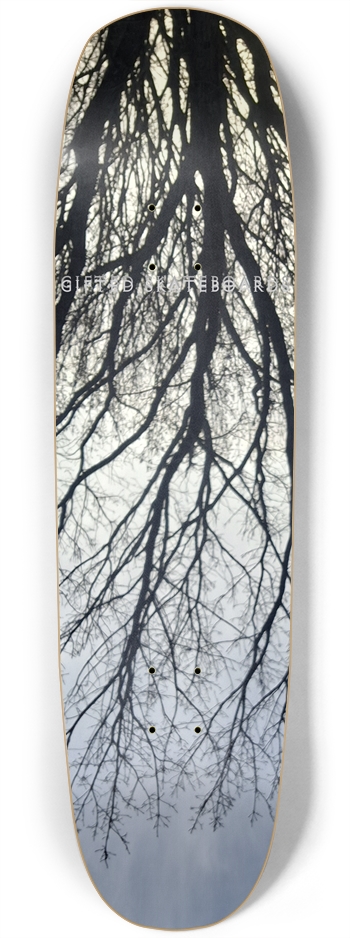 Rooted Tree?