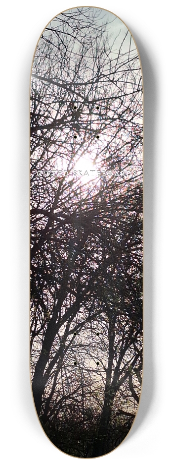 Evening Trees?
