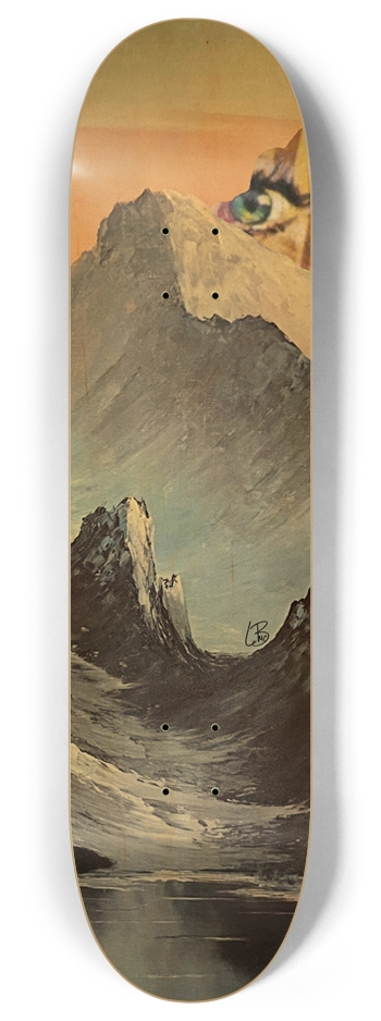 Custom Skateboard 8 Inch Skateboard Deck