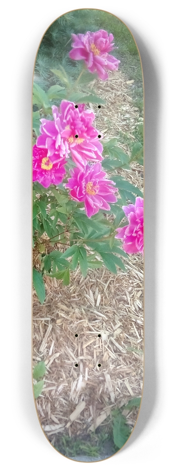 I beg your pardon 8 Inch Skateboard Deck