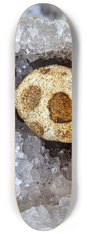 The screaming G ode.  #2 8-1/4 Skateboard Deck