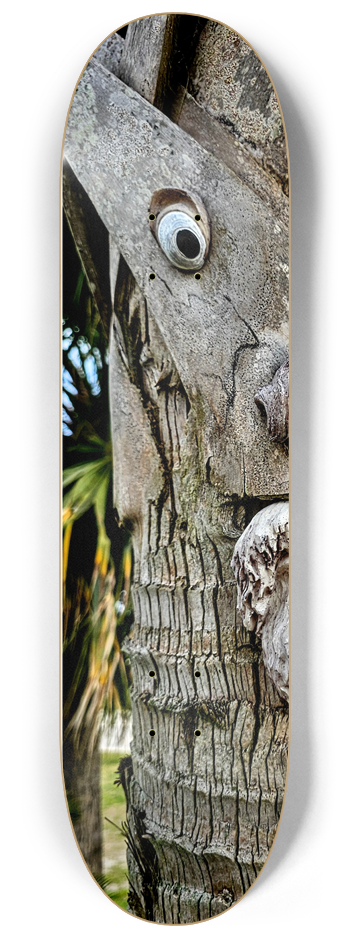 Palm tree with eyes. #1 8-1/4 Skateboard Deck