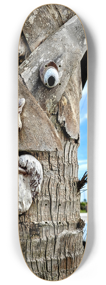 Palm tree with eyes. #2 8-1/4 Skateboard Deck