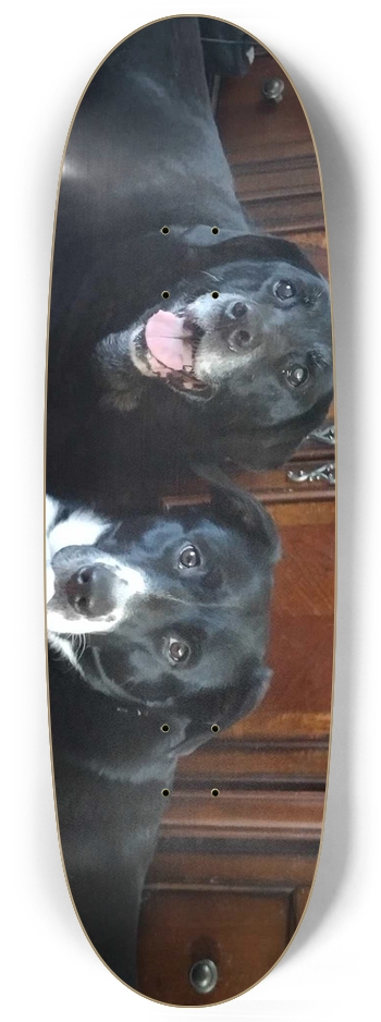 Back in the lab Egg Shape