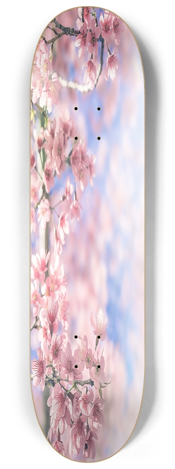 Cherry Blossom 8.25 8-1/4 Skateboard Deck