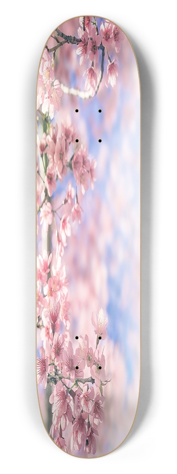 Cherry Blossom 7.50 7-1/2 Skateboard Deck