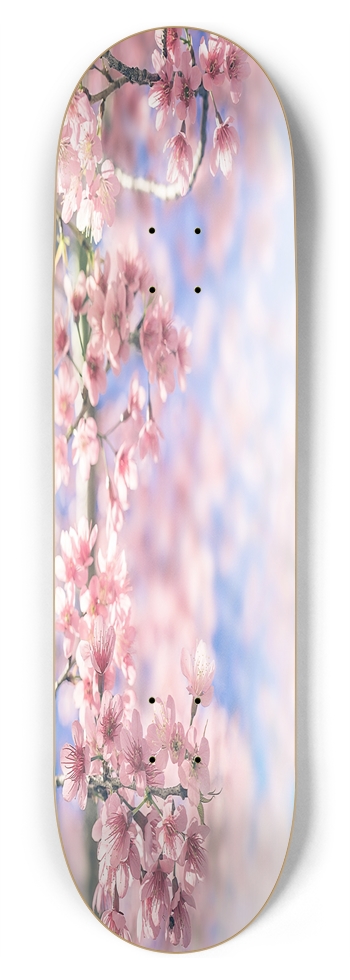 Cherry Blossom 8.75 8-3/4 Inch Skateboard