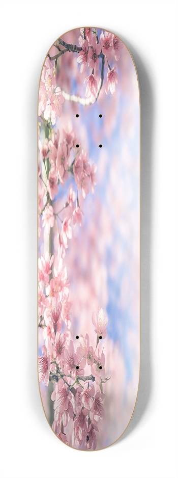 Cherry Blossom Mini 7.25 7-1/4 Mini/Kid Skateboard