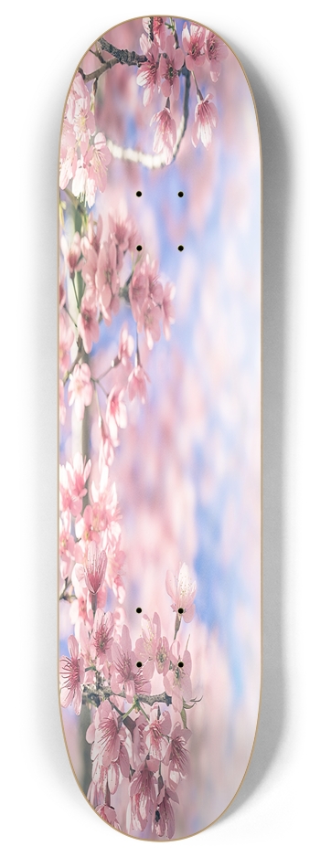 Cherry Blossom 8.00 8 Inch Skateboard Deck