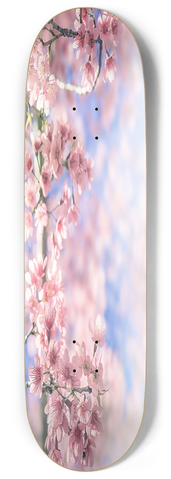 Cherry Blossom 9.00 9 Inch Skateboard