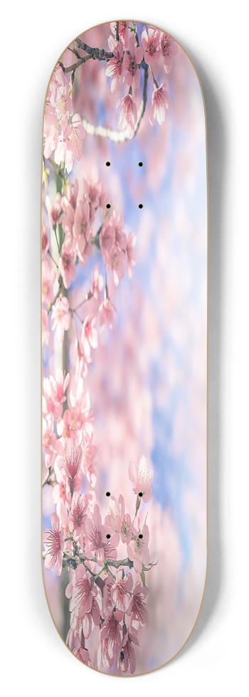 Cherry Blossom 8.50 8-1/2 Skateboard Deck