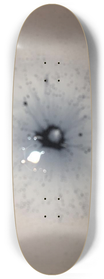 Blue Flower Skateboard Egg Shape