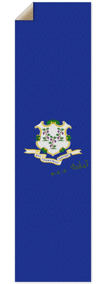 Connectigrippy 9 x 33 Inch Griptape