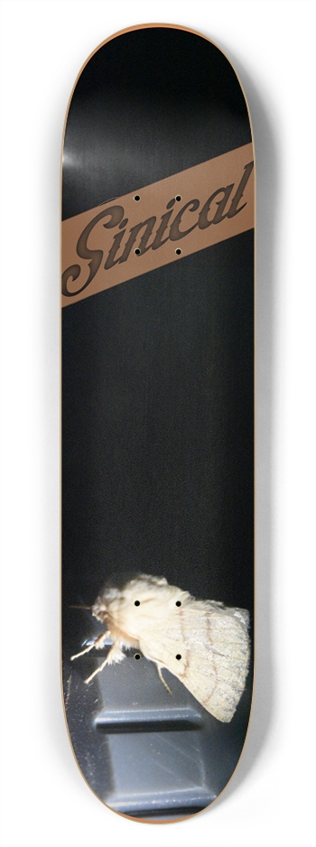 775 moth 7-3/4 Skateboard Deck