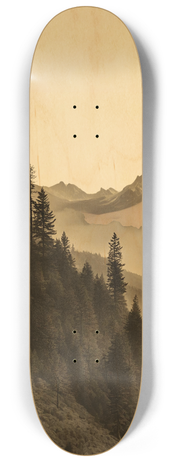Skateboard Series #1 8-1/4 Skateboard Deck