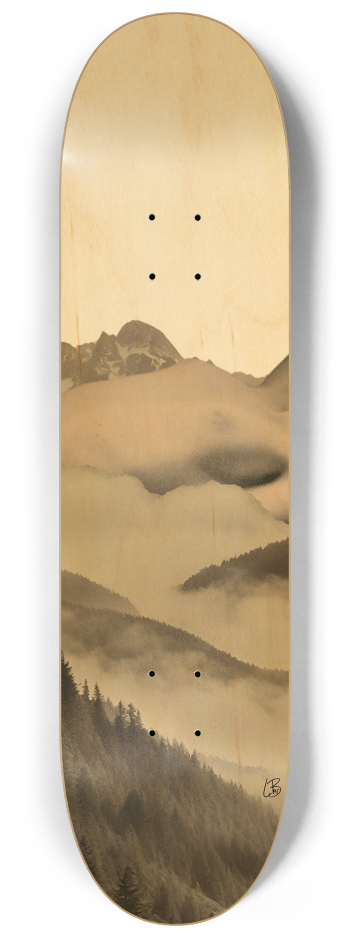 Skateboard Series #2 8-1/4 Skateboard Deck