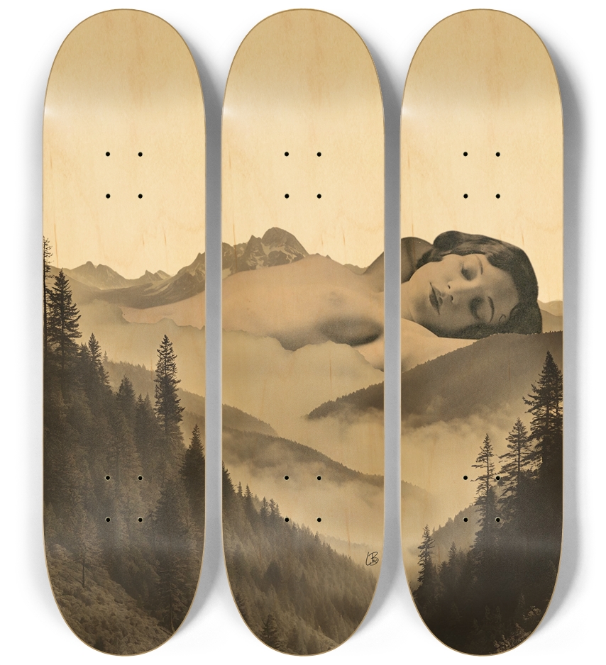 Skateboard Series 3 Deck Wall Series