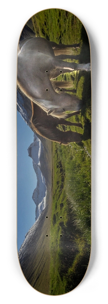 Custom Skateboard horses 8-3/4 Inch Skateboard