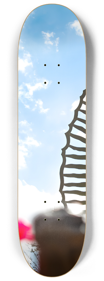 Guadalupe Skateboard Our Lady Skateboard Tripty #1 8-1/4 Skateboard Deck